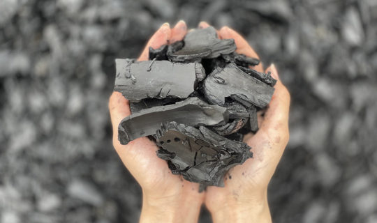 脱炭素のカギは「炭」にあり！ バイオ炭が次世代の新たな社会とビジネスを生む