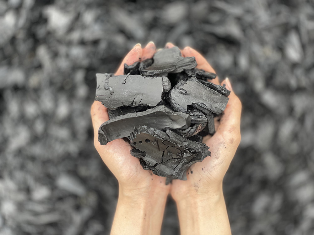 脱炭素のカギは「炭」にあり！ バイオ炭が次世代の新たな社会とビジネスを生む
