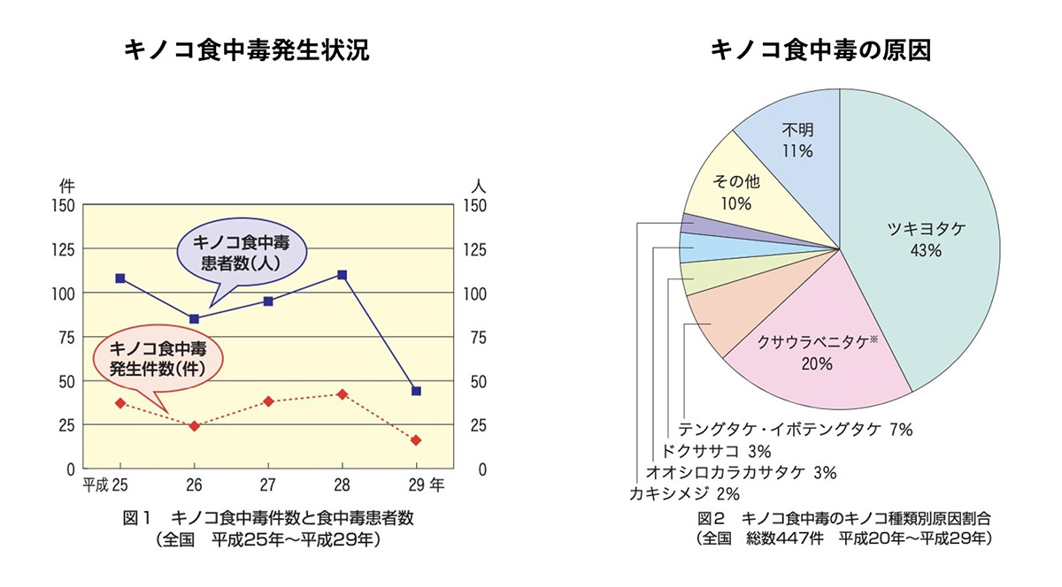 キノコ食中毒の発生状況と原因割合