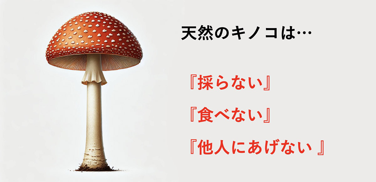 天然のキノコは採らない、食べない、他人にあげない