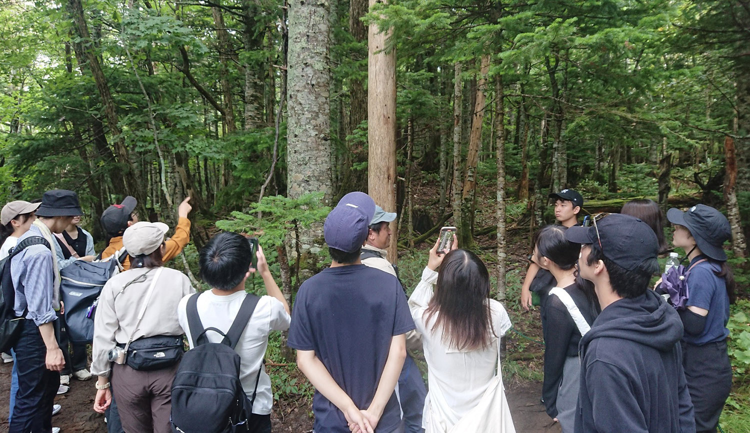 桜井研究室では、学生を知床に連れて行きフィールドワークを行っている